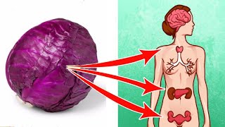 Amazing Health Benefits Of Eating Red Cabbage