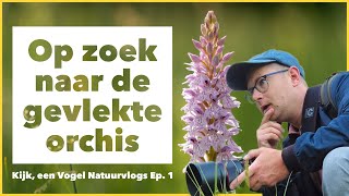 Op zoek naar de gevlekte orchis - EPISODE 1 | Kijk, een Vogel Natuurvlogs