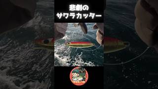 伊勢湾ジギングあるある　悲劇のサワラカッター　＃伊勢湾ジギング　＃サワラ　＃サワラカッター #釣り