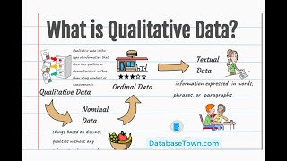 What is Qualitative Data? Three Types of Qualitative Data