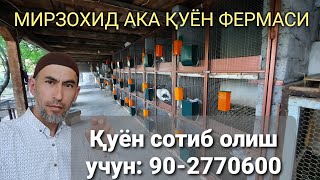 Мирзохид ака - қуён фермаси. Фарғона в. Қува ш. Қуён бозор нархлари - апрел 2021