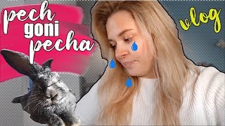 VLOG | Co u nas słychać? - Melman znowu choruje...:(