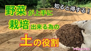 ふかふかな土壌にする目的とは！？　自慢できる野菜をつくる為に必要な「初心者向け」のお話し　タネのハシモト