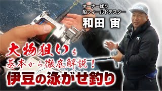 大物狙いを基本から徹底解説！【伊豆の泳がせ釣り】