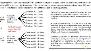 4.2 #4 Tomato Plant Experiment: Experimental Designs & Methods-- Blocking