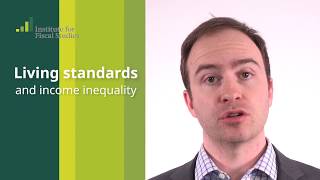 Living standards and income inequality