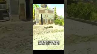 [타르코프] 해외 게이머들이 버그 악용 한국인을 보고 경악한 진짜 이유