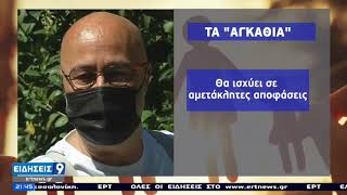 Νίκος Γκόλφης και Ιωάννης Παπαρρηγόπουλος στο δελτίο ειδήσεων της ΕΡΤ 09/05/21