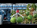 Next Level Machines for Watermelon Harvesting