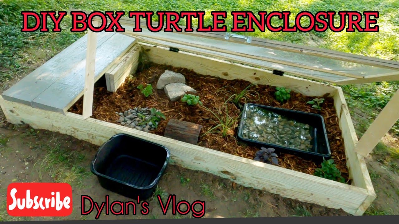Homemade Turtle Enclosure