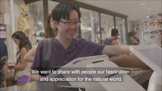 The Evolution Store