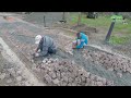 laying cobbles traditional arc pattern natural cube stones carpet technique gritstone setts pro