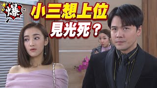 《多情大爆爆》多情城市 EP354 小三想上位   見光死？