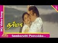 Sembaruthi Poovukku Video Song | Dharma Tamil Movie Songs | Vijayakanth | Preetha  | Pyramid Music
