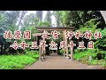 播磨國一之宮 伊和神社　兵庫県宍粟市