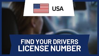 Where to Find Drivers License Number