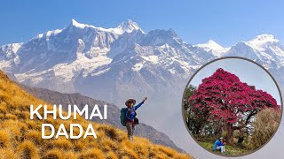 Khumai Dada | Great Machhapuchhre Trail | Machhapuchhre Model Trek