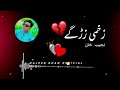 zakhmi zargy pashto new song pashto new 2023 song najeeb khan official__.