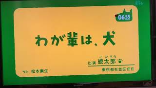 2019/8/20 0655 我輩は、犬