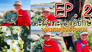 Ep.2:เก็บคะน้าทะเลกอใหญ่ๆสวยๆ | ชมชนบทสวีเดน | ชมวิวทะเลสาบ | ชมตู้เย็นโบราณท้ายคลิปจ้า🤩😍