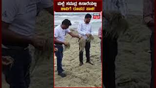 Udupi Malpe Beach | ಮಲ್ಪೆ ಸಮುದ್ರ ಕಿನಾರೆಯಲ್ಲಿ ರಾಶಿ-ರಾಶಿ ಶಾವಿಗೆ ರೂಪದ ಪಾಚಿ