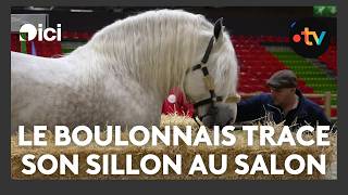 Le Salon de l'agriculture, un tremplin pour les éleveurs