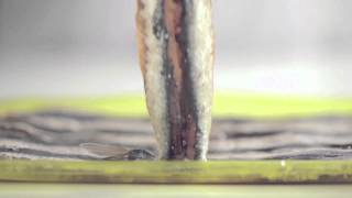 How to Prepare Salted Anchovies by Anxoves de L'Escala