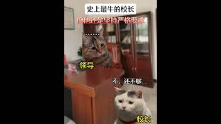 史上最牛的校长 #真实事件 #正能量 #猫meme #2008汶川大地震 #叶志平 #猫meme小剧场  #funny #故事 #cat  #貓 #搞笑 #cute