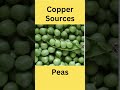 ✅️copper rich foods copper sources copper