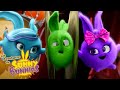 ENSAYO DE BANDA | Las Aventuras de Sunny Bunnies | Dibujos para niños