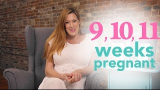 9, 10, 11 Weeks Pregnant - Ovia Pregnancy