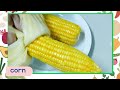 fruits vegetable name for toddlers first words for babies speech therapy english vocabulary