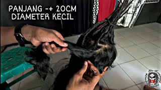 Proses Gimbal Rambut Asli Panjang 20cm