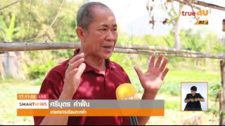 ข่าวโครงการ True4U Smart News