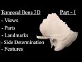 Temporal Bone anatomy 3d, Part 1, Views, Side determination, features, landmarks and Osteology.