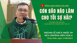 Cơn bão nào làm cho tôi sợ hãi? - Lm GB Phương Đình Toại, MI | CN 19 TN năm A