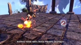 BNS Skill BladeMaster 110414 HD