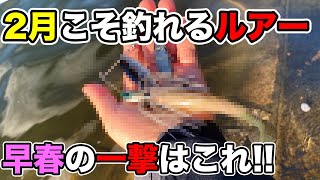 【バス釣り】2月早春のおすすめハードルアーを紹介！使い所や使い方を解説してみた【メタルバイブ】【ボリームベイト】【ビッグベイト】【ジャークベイト】【冬のバス釣り】