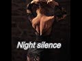 Night silence (  Night Music by Linijastila )