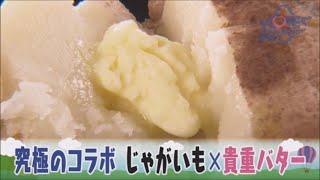 【公式】『美味しいにはワケがある～雪国北海道の熟成いもの世界～』　LOVE HOKKAIDO #434 2022年3月26日放送（予告）