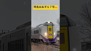 特急おおぞら７号　しまむらカーブで！#鉄道 #shortvideo #jr北海道 #hokkaidou #shorts #根室本線 #short #キハ261系 #train #列車