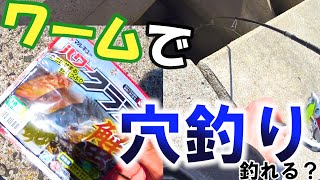 【穴釣り】ワームでカサゴが釣れるのか色んな方法でやってみた結果