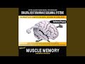 Muscle Memory