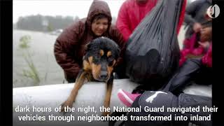Dramatic Nighttime Rescues In Flooded Houston Suburbs