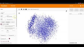 18 Embedding Projector
