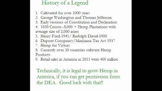 Industrial Hemp   Story of a Legend