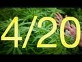 It's High Time for That Cannabis Holiday: 4/20