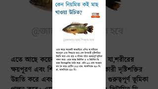 কেন নিয়মিত কই মাছ খাওয়া উচিত | Why you should eat koi fish regularly #shorts