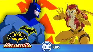 战斗进行中！蝙蝠侠和闪电侠大战猎豹 | 中文版 Batman Unlimited 🇨🇳 | @DCKidsInternational