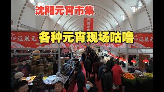 龙年辽展元宵市集来了，各种手工元宵现场制作，各地美食也不少